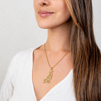 Pakistan Calligraphy Map Necklace